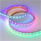 Лента герметичная SPI-P-B60-12mm 12V RGB-PX1-BPT (8 W/m, IP66, 5060, 5m) (Arlight, бегущий огонь) 041615(1) - фото 95304