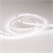 Лента IC 2-30000 24V Day4000 10mm (2835, 60 LED/m, LUX) (Arlight, 4.6 Вт/м, IP20) 027032 - фото 95328