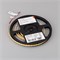 Лента COB-X400-8mm 12V Warm2700 (9 W/m, IP20, CSP, 2.5m) (Arlight, -) 039046 - фото 95382