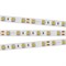 Лента RT 2-5000 24V Warm2400 2x (5060, 300 LED, LUX) (Arlight, 14.4 Вт/м, IP20) 018099(B) - фото 95829