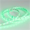 Лента RTW 2-5000SE 24V Green 2x (5060, 300 LED, LUX) (Arlight, 14.4 Вт/м, IP65) 016505-1 - фото 96027