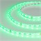 Лента RTW 2-5000SE 24V Green 2x (5060, 300 LED, LUX) (Arlight, 14.4 Вт/м, IP65) 016505-1 - фото 96031