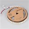 Светодиодная лента RT-B144-19mm 24V Day4000 (34.4 W/m, IP20, 5060, 5m) (Arlight, Открытый)  025274(2) - фото 96471