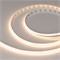 Светодиодная лента COB-X320-8mm 24V Warm3000(8 W/m, IP20, CSP, 5m) (Arlight, -) 039022 - фото 96638