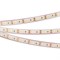 Лента RTW 2-5000PGS 12V White 2x (3528, 600 LED, LUX) (Arlight, 9.6 Вт/м, IP67) 015011-1 - фото 96651