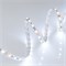 Лента RT 2-5000 12V Cool 8K 2x (5060, 300 LED, LUX) (Arlight, 14.4 Вт/м, IP20) 013341(B) - фото 96886