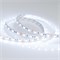Лента RT 2-5000 12V Cool 8K 2x (5060, 300 LED, LUX) (Arlight, 14.4 Вт/м, IP20) 013341(B) - фото 96889