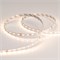 Лента RT 2-5000 24V Warm2700 (2835, 80 LED/m, LUX) (Arlight, 6 Вт/м, IP20) 024514 - фото 97001
