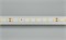 Лента RT 2-5000 24V White5500 (2835, 80 LED/m, LUX) (Arlight, 6 Вт/м, IP20) 024510 - фото 97069