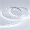 Лента RT 2-5000 24V White5500 (2835, 80 LED/m, LUX) (Arlight, 6 Вт/м, IP20) 024510 - фото 97071