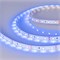 Лента RT-A60-8mm 12V Blue (4.8 W/m, IP20, 5m) (Arlight, 4.8 Вт/м, IP20) 010523(2) - фото 97229