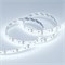 Лента герметичная RTW-SE-A120-8mm 12V Cool 10K (9.6 W/m, IP65, 2835, 5m) (Arlight, 9.6 Вт/м, IP65) 016838(2) - фото 97324