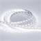 Лента RT 2-5000 12V Cx1 White6000 2x (5060, 360 LED, LUX) (Arlight, 15.6 Вт/м, IP20) 011705(1) - фото 97477