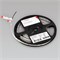 Светодиодная лента RT-A120-8mm 24V Warm2700 (14.4 W/m, IP20, 2835, 5m) (Arlight, Открытый) 015699(2) - фото 97519