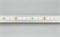 Лента RT 2-5000 24V Warm3000 1.6x (2835, 490 LED, CRI98) (Arlight, 10 Вт/м, IP20) 021453(1) - фото 97610