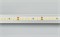 Лента RT 2-5000 24V Day5000 2x (2835, 160 LED/m, LUX) (Arlight, 12 Вт/м, IP20) 024536 - фото 98107