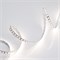 Лента RT 2-5000 24V Day4000 2x (3528, 600 LED, LUX) (Arlight, 9.6 Вт/м, IP20) 011581(B) - фото 98202