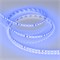 Лента RT-A120-8mm 24V Blue (9.6 W/m, IP20, 5m) (Arlight, 9.6 Вт/м, IP20) 008783(2) - фото 98313