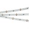Лента RS 2-5000 24V Day4000 2x (3014, 120 LED/m, LUX) (Arlight, 9.6 Вт/м, IP20) 024459 - фото 98446