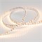 Лента RT 2-5000 12V Warm2400 2x (3528, 600 LED, LUX) (Arlight, 9.6 Вт/м, IP20) 018091(B) - фото 98467