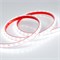 Лента RTW 2-5000PS 24V White6000 (2835, 80 LED/m, LUX) (Arlight, 6 Вт/м, IP67) 024515 - фото 98477