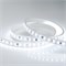 Лента ARL-50000PC-220V White6000 (3056, 72 LED/m, IP65) (Arlight, 14 Вт/м, IP65) 024043 - фото 98505