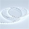 Лента RT 2-5000 24V Cool 15K 5mm 2x (3528, 600 LED, LUX) (Arlight, 9.6 Вт/м, IP20) 015661 - фото 98562