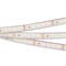 Лента RTW 2-5000PGS 24V Cool 2x (3528, 600 LED, LUX) (Arlight, 9.6 Вт/м, IP67) 016835 - фото 98648