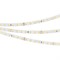 Лента RT 2-5000 24V Cool 8K 1.6x (2835, 490 LED, PRO) (Arlight, 10 Вт/м, IP20) 019912(1) - фото 98652