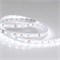 Лента RTW 2-5000NC 24V White6000 2x (5060, 300 LED, LUX) (Arlight, 14.4 Вт/м, IP65) 014963 - фото 98664