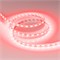 Лента RT-B60-10mm 12V Red (14.4 W/m, IP20, 5060, 5m) (Arlight, 14.4 Вт/м, IP20) 012343(2) - фото 98683