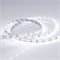 Лента RT 2-5000 12V White6000 (3528, 300 LED, LUX) (Arlight, 4.8 Вт/м, IP20) 010522(B) - фото 98735