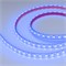 Лента герметичная RTW-PFS-B60-13mm 12V Blue (14.4 W/m, IP68, 5060, 5m) (Arlight, 14.4 Вт/м, IP68) 036280 - фото 98880