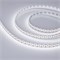 Лента RT 2-5000 24V Cx2 White6000 10mm (2835, 168 LED/m, LUX) (Arlight, 17 Вт/м, IP20) 028734 - фото 98924