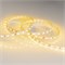 Лента RT 2-5000 24V Yellow 2x (5060, 300 LED, LUX) (Arlight, 14.4 Вт/м, IP20) 008816-1 - фото 98984