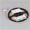 Лента COB-X400-5mm 24V Day4000 (7.2 W/m, IP20, CSP, 5m) (Arlight, -) 039735 - фото 99102