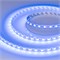 Лента RT-B60-10mm 12V Blue (14.4 W/m, IP20, 5060, 5m) (Arlight, Открытый) 012336(2) - фото 99256