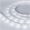 Лента ULTRA-5000 12V White6000 (5630, 150 LED, LUX) (Arlight, 12 Вт/м, IP20) 013853 - фото 99406