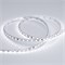 Лента RT 2-5000 24V White6000 5mm 2x (3528, 600 LED, LUX) (Arlight, 9.6 Вт/м, IP20) 015651(B) - фото 99764
