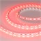 Лента RT-B60-10mm 24V Red (14.4 W/m, IP20, 5060, 5m) (Arlight, Открытый) 008817(2) - фото 99941