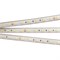 Лента герметичная RTW-PS-B60-13mm 24V Warm3000 (14.4 W/m, IP67, 5060, 5m) (Arlight, 14.4 Вт/м, IP67) 021464(2) - фото 99984